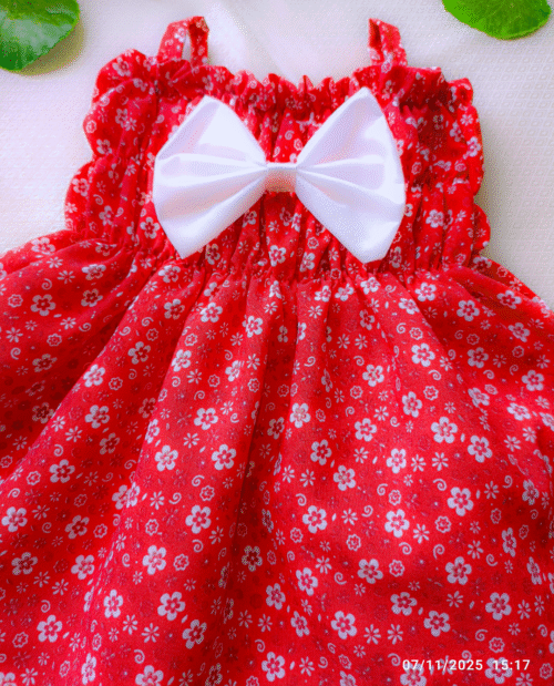 unnamed (15) Vestido Rojo