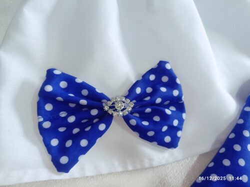 Mochito Azul y Blusita Mami